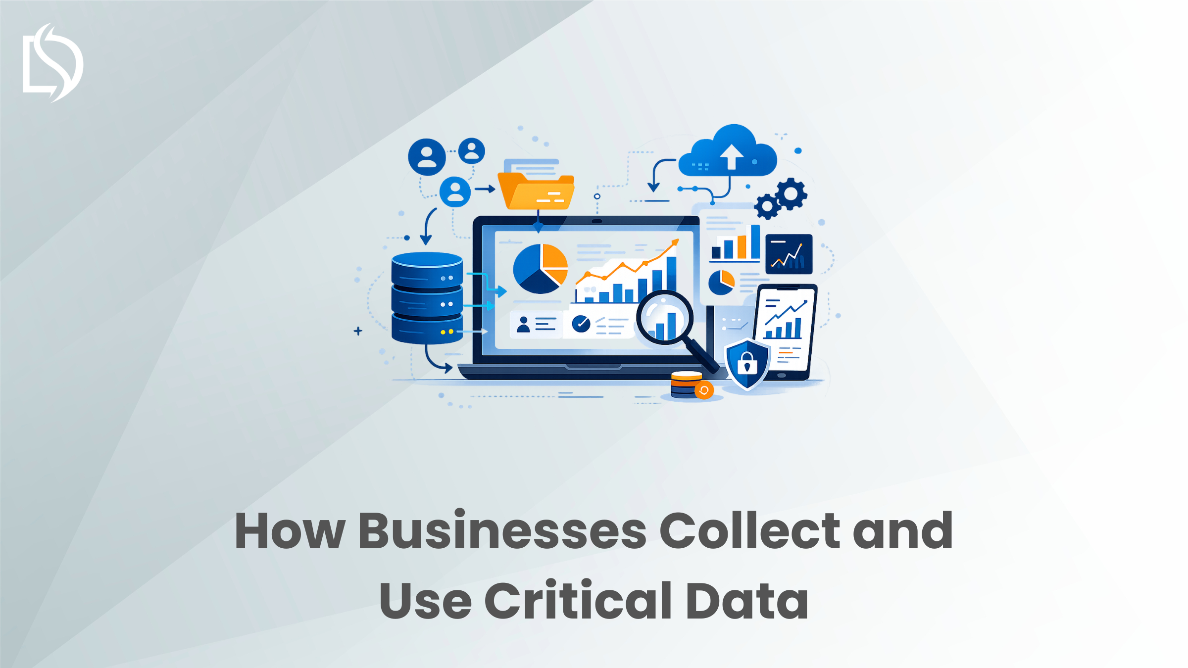How Businesses Collect and Use Critical Data